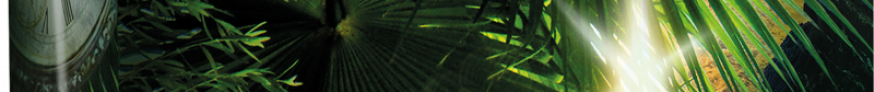 EXIT_mockup_Ile-light